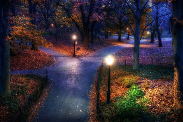 Park alley at night