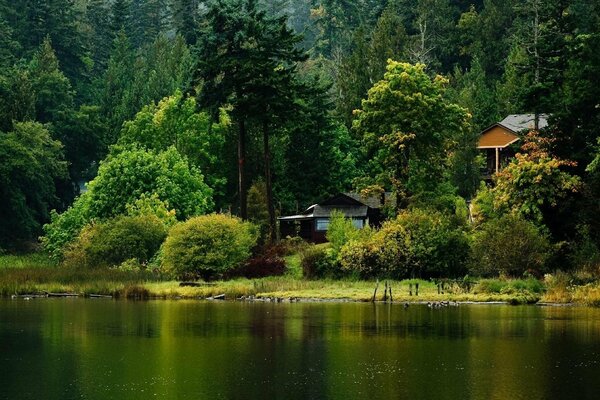 Lac forestier et maisons parmi les arbres