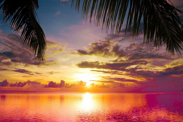 Hermosa puesta de sol junto al mar