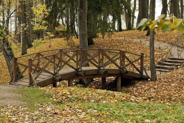 Parco in autunno: ponte fogliame alberi