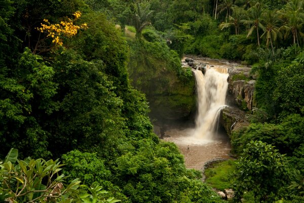 La belleza salvaje de las cascadas Indonesias