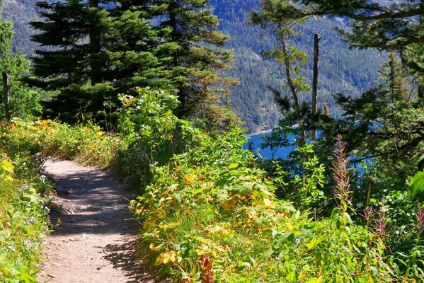 Sentier de montagne avec vue sur le lac