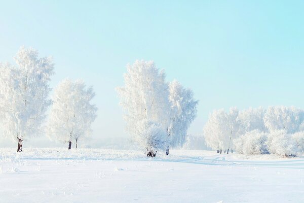 Bel endroit en hiver autour de la neige