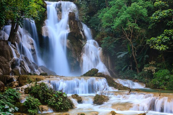 High waterfall surrounded by greenery