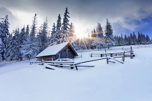 Хижина в лесу. Лучи солнца