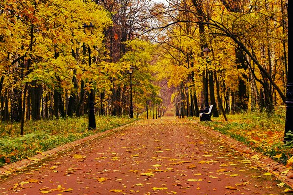 Eine einsame Bank im Herbstpark