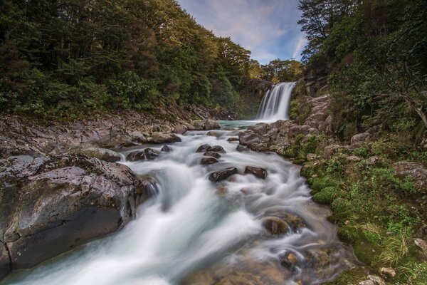 Waterfall in the forests of New Zealand