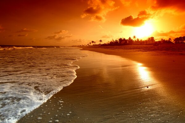 Coucher de soleil coloré sur la plage photo atmosphérique