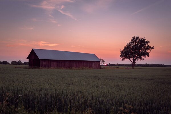 Sunset on a farm in Switzerland