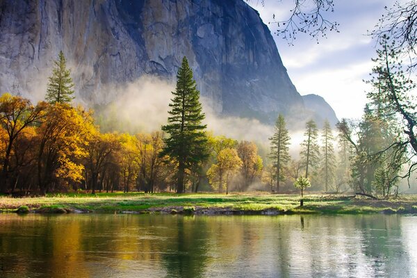 Yellowed trees at the foot of the mountain