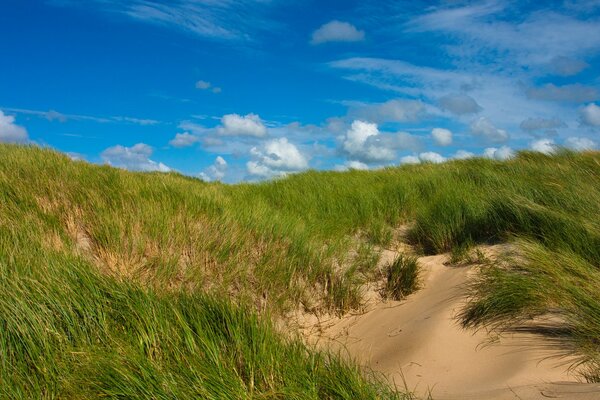 Steppe with dunes and blue sky