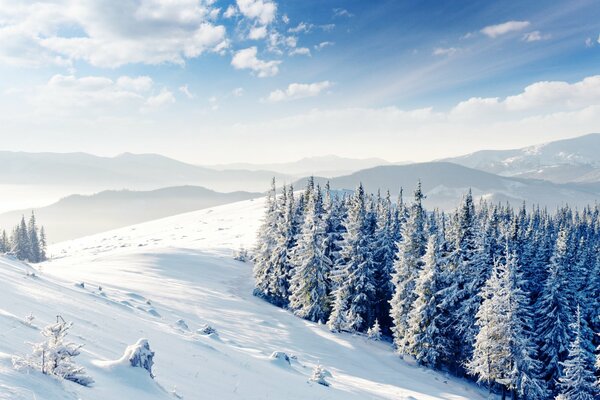 Schöner sanfter Winter inmitten der Natur