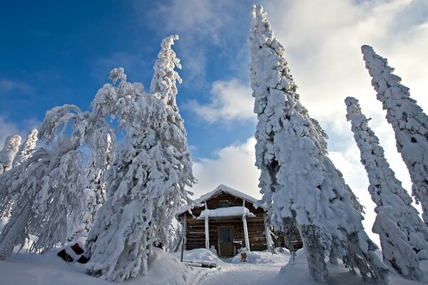 Everyone would like to see winter in a hot place