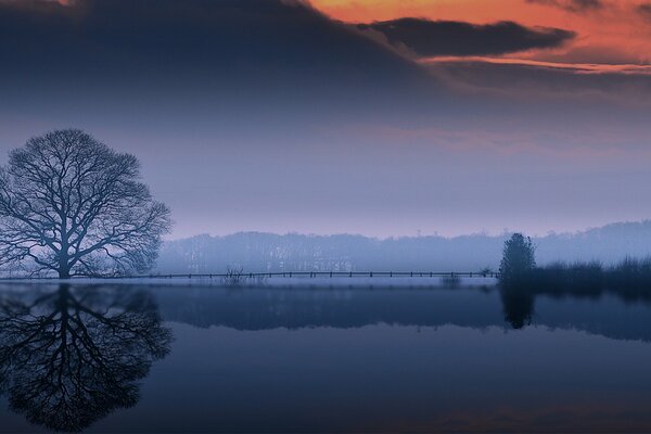 Looking at the picture you inhale the aroma of frosty fog