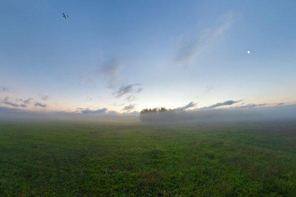 Flugzeug im Morgennebel