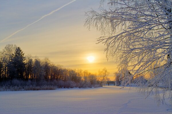 Alba dorata sulla foresta invernale, radura e rami innevati