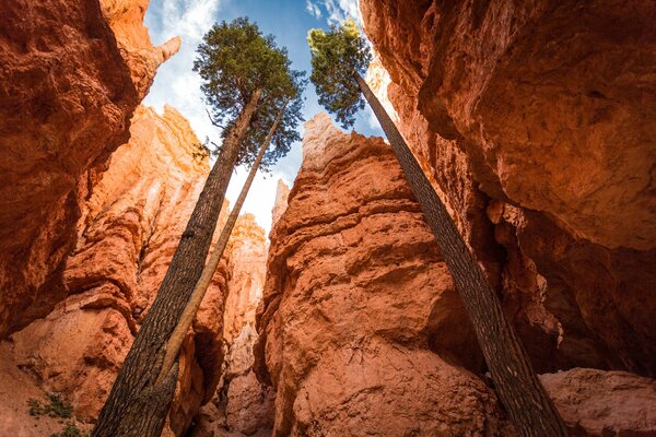 Utah Canyon USA National Park