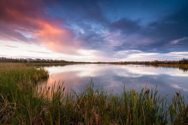 Lago con cañas en el fondo del cielo de la tarde