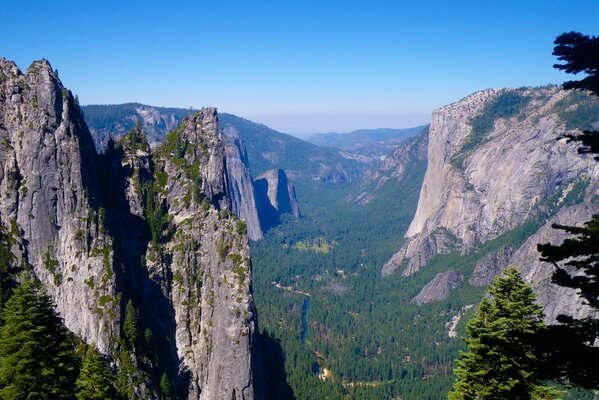 Mountains and forest in Yosemite National Park