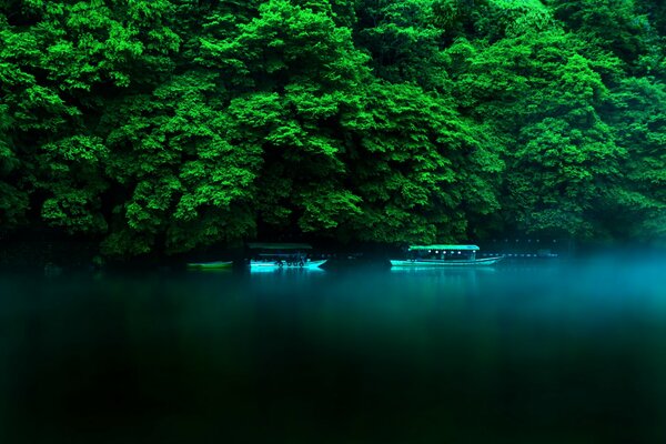 Couleurs vives de l île de Honshu