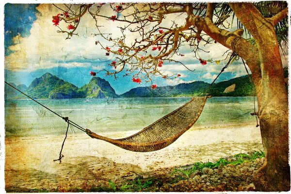 Vintage photo hammock in paradise