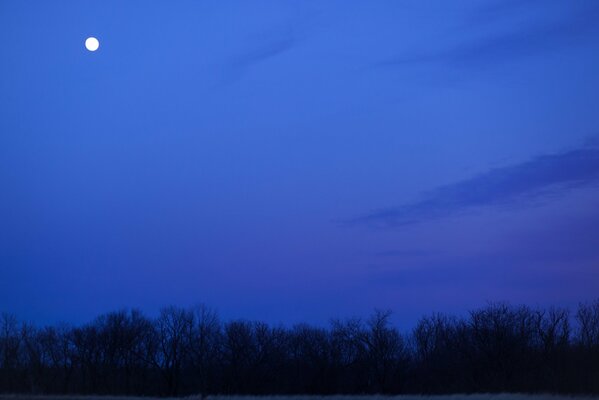 The full moon on the background of the blue night sky fascinates with its beauty