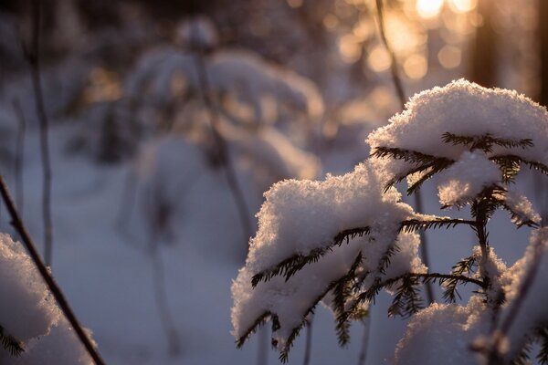 Finally, the beautiful winter has come!