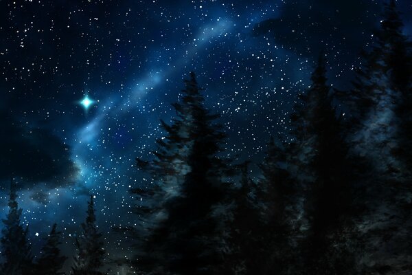 Winter night in the forest in nature with stars in the sky