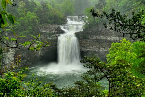 Waterfall in the forest. Green trees