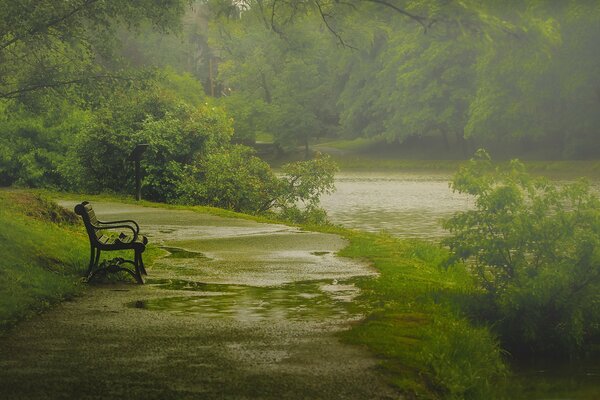 Wiosenny poranek w Washington Park