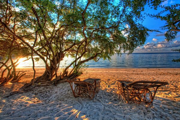 Un paio di sedie a sdraio intagliate si trovano su una sponda di sabbia calpestata vicino a un albero di vimini e un fiume dietro il quale tramonta il sole