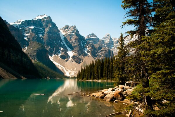 Lac et montagnes. Forêt verte