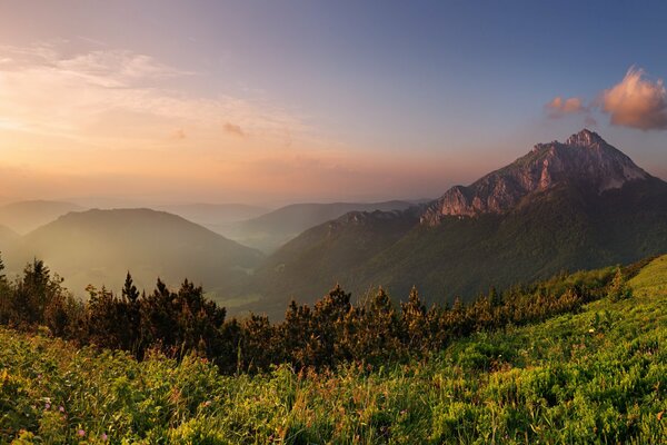 Low sun over the field and mountains