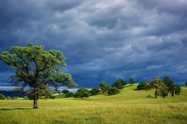 Hügel, Bäume und blauer Himmel in Kalifornien