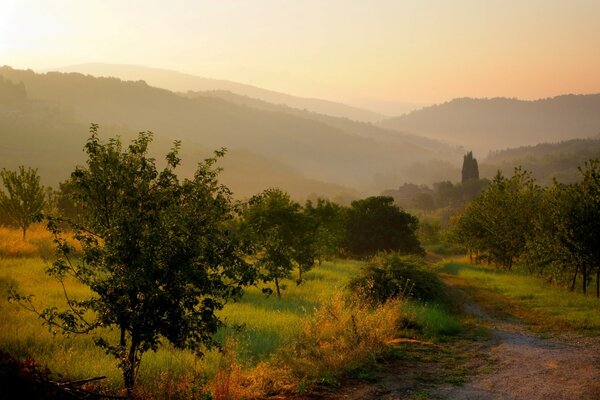 Sunset and trail in a beautiful green field