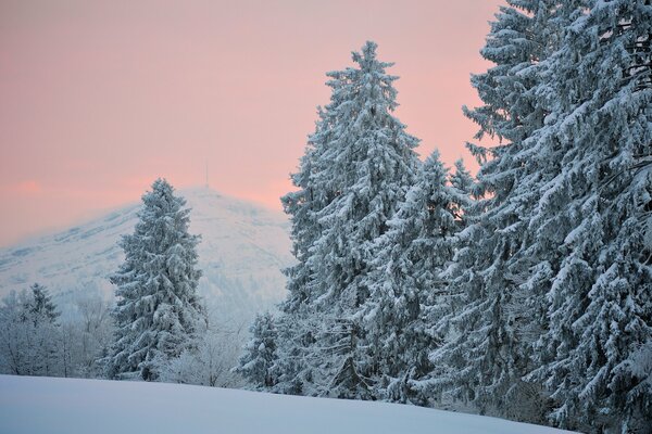 Mangiato sulle colline innevate la sera