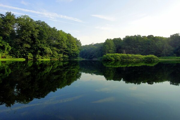 Clean lake with green shores