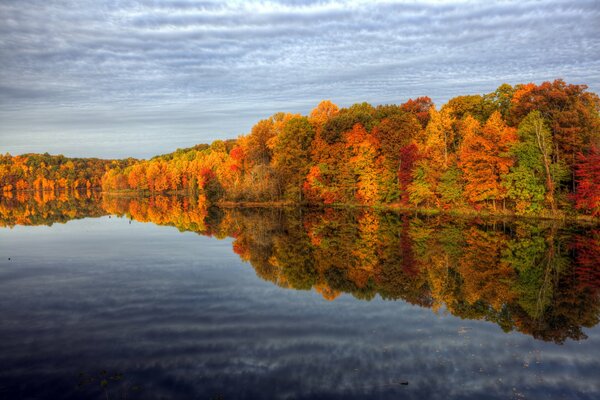 Bunte Herbstbäume am Wasser
