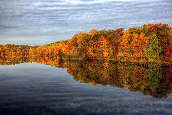 Árboles coloridos de otoño junto al agua