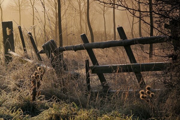 An old ruined fence in the forest