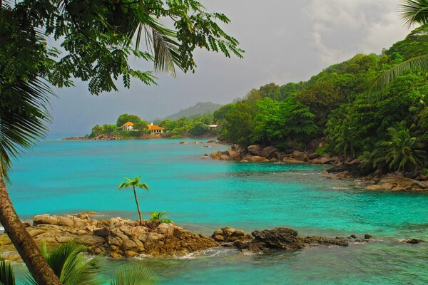 Azurblaues Meer und Palmen in den Tropen