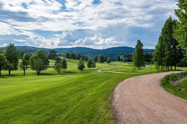 Beautiful green meadow with mountain view