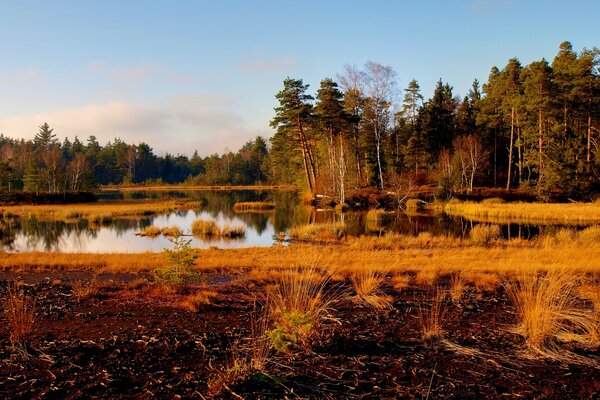 Herbstlandschaft mit See und Bäumen