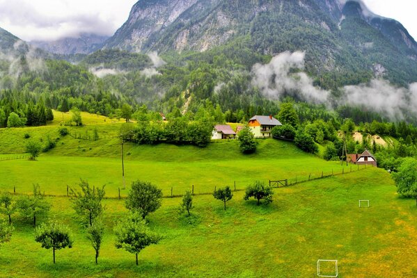 Un campo verde sin límites con casas acogedoras