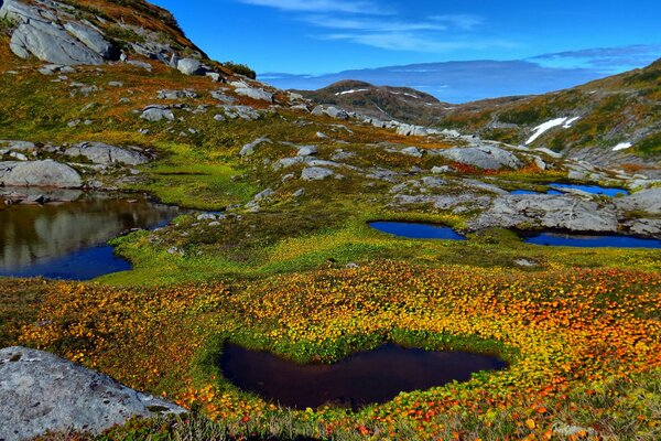 Mountain pond among rocks