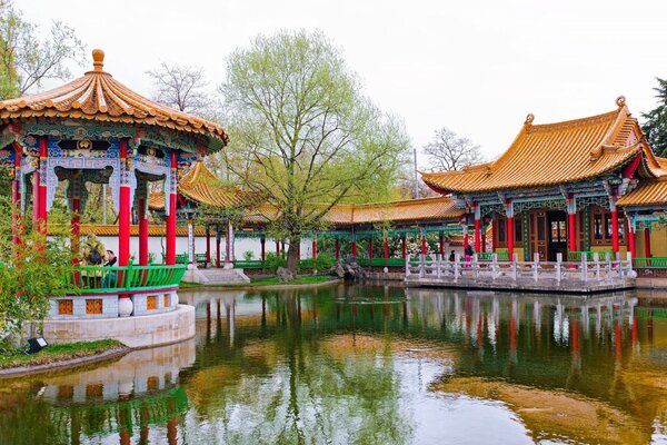 Zurich-style gazebos in a Chinese garden in Switzerland by a pond with a tree