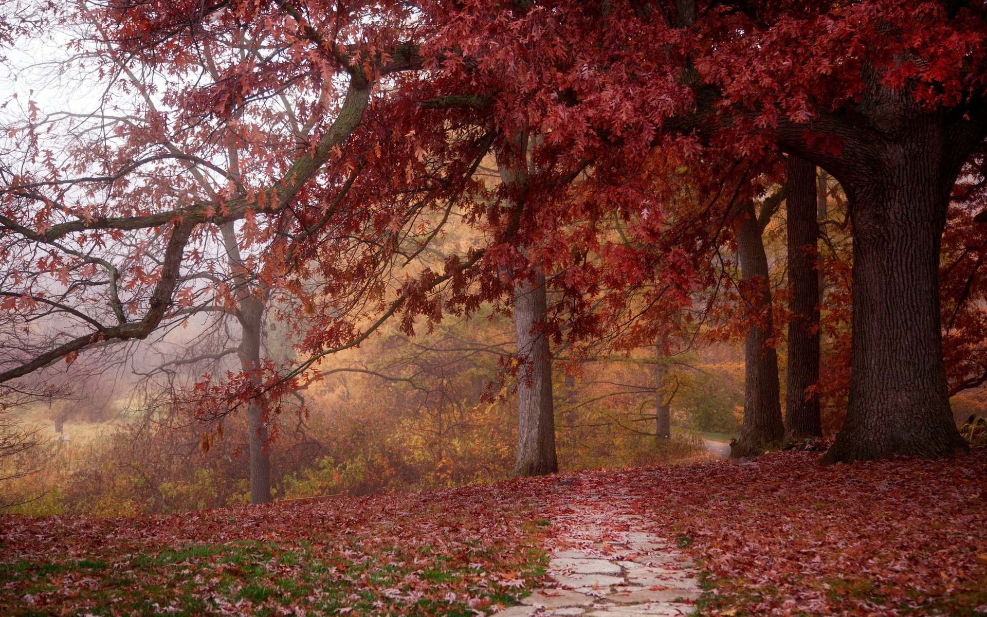 park herbst natur