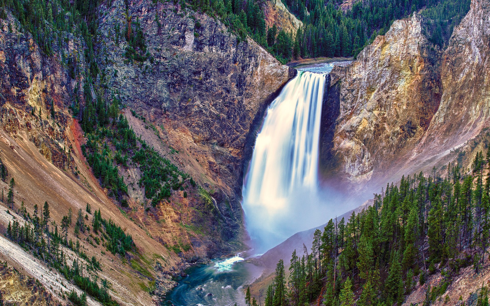 lower falls yellowstone national park waterfall mountain feed tree