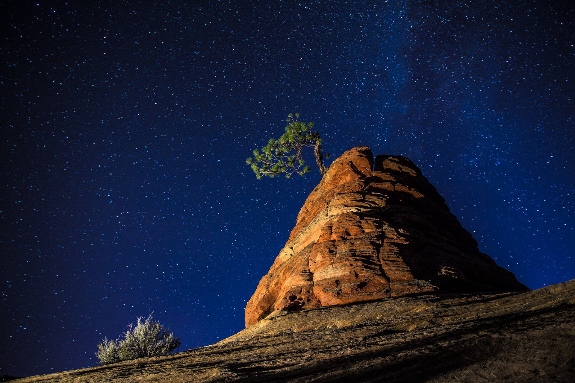 nature night sky star rock tree