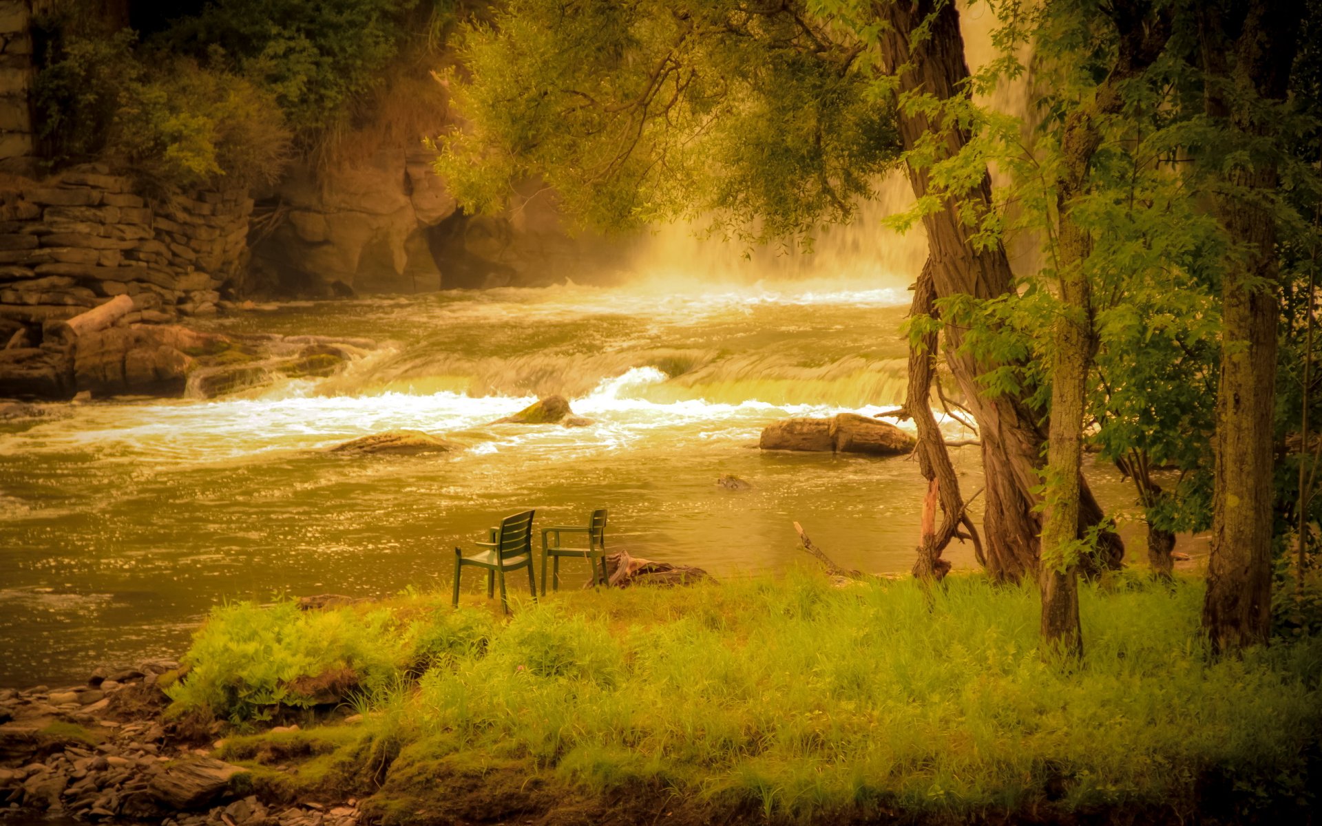 foresta fiume sedie natura